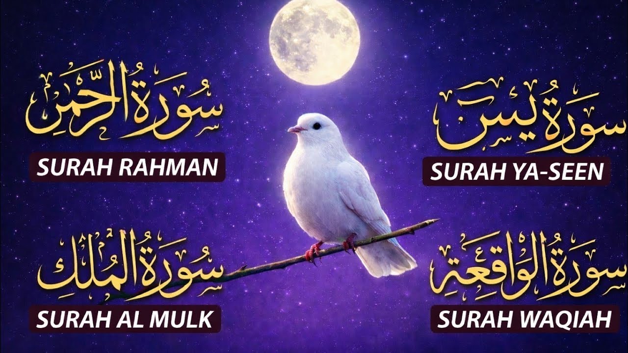 Surah Yasin | Surah Rahman | Surah Waqia | Surah Mulk