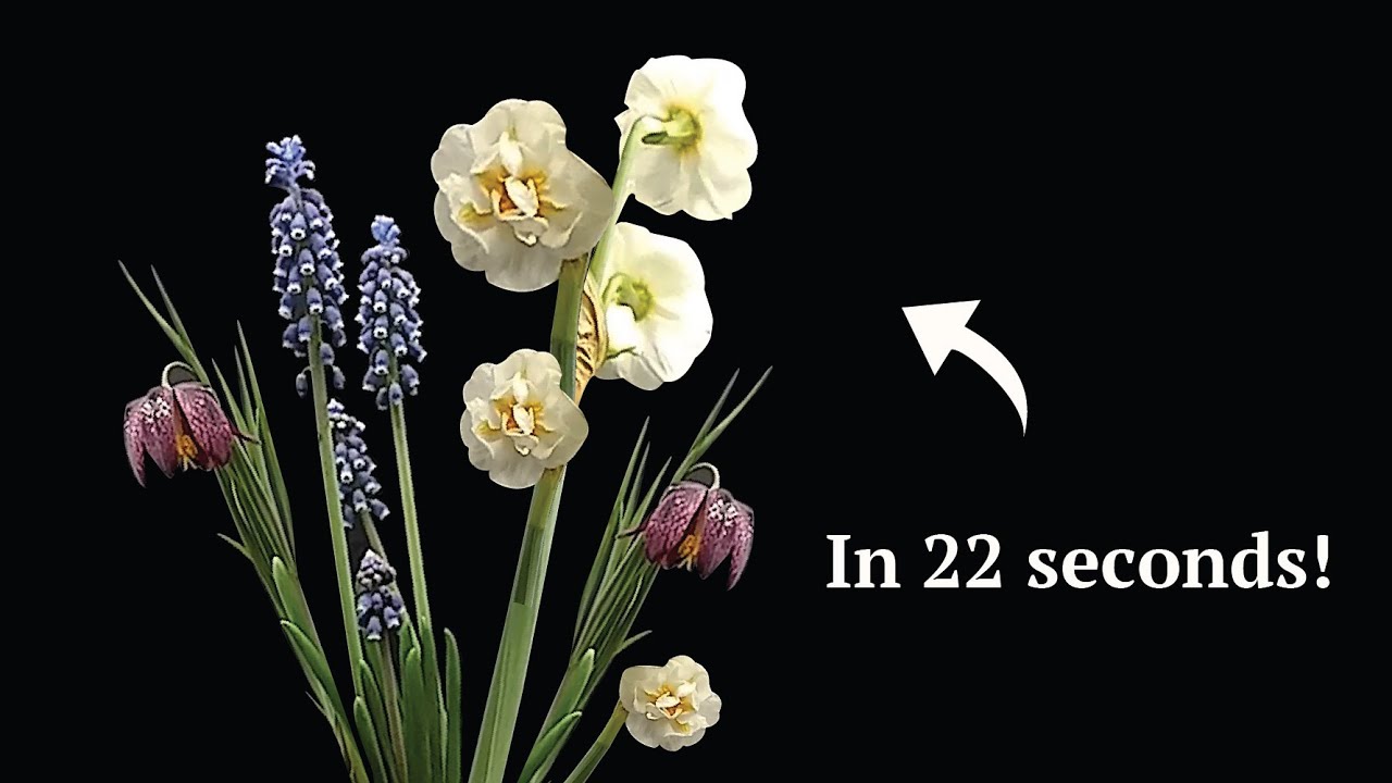 BLOOMING SPRING FLOWERS in 22 seconds (BEAUTIFUL ENDING) | Time Lapse