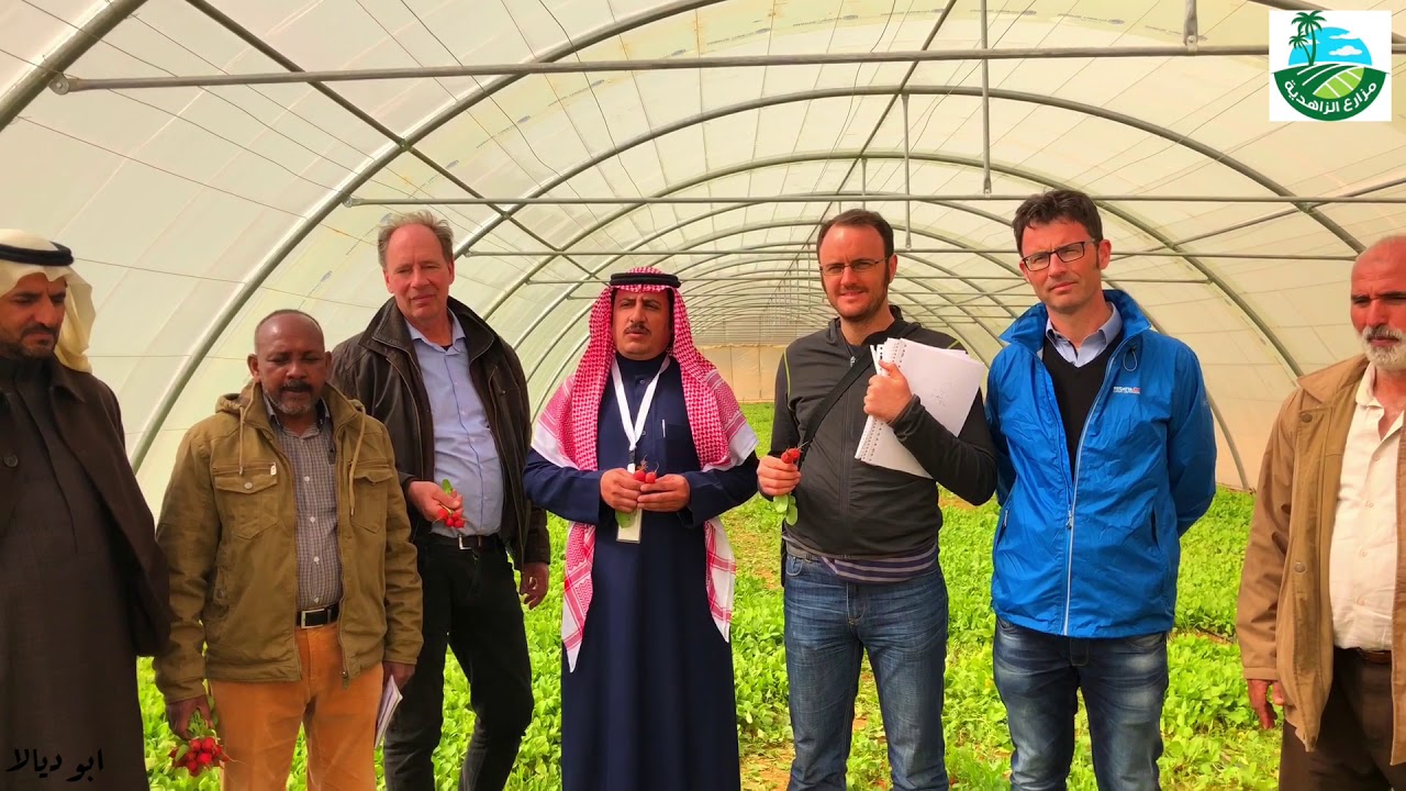زيارة كوكبة من جامعة الملك فيصل وجامعة  فاخنينجن الهولندية لمزارع الزاهدية بالعويقيلة