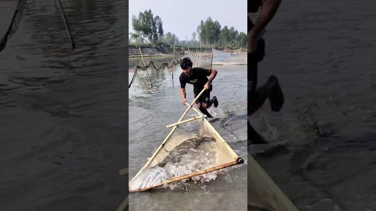 Jal thela fishing shows the beauty of traditional village life 