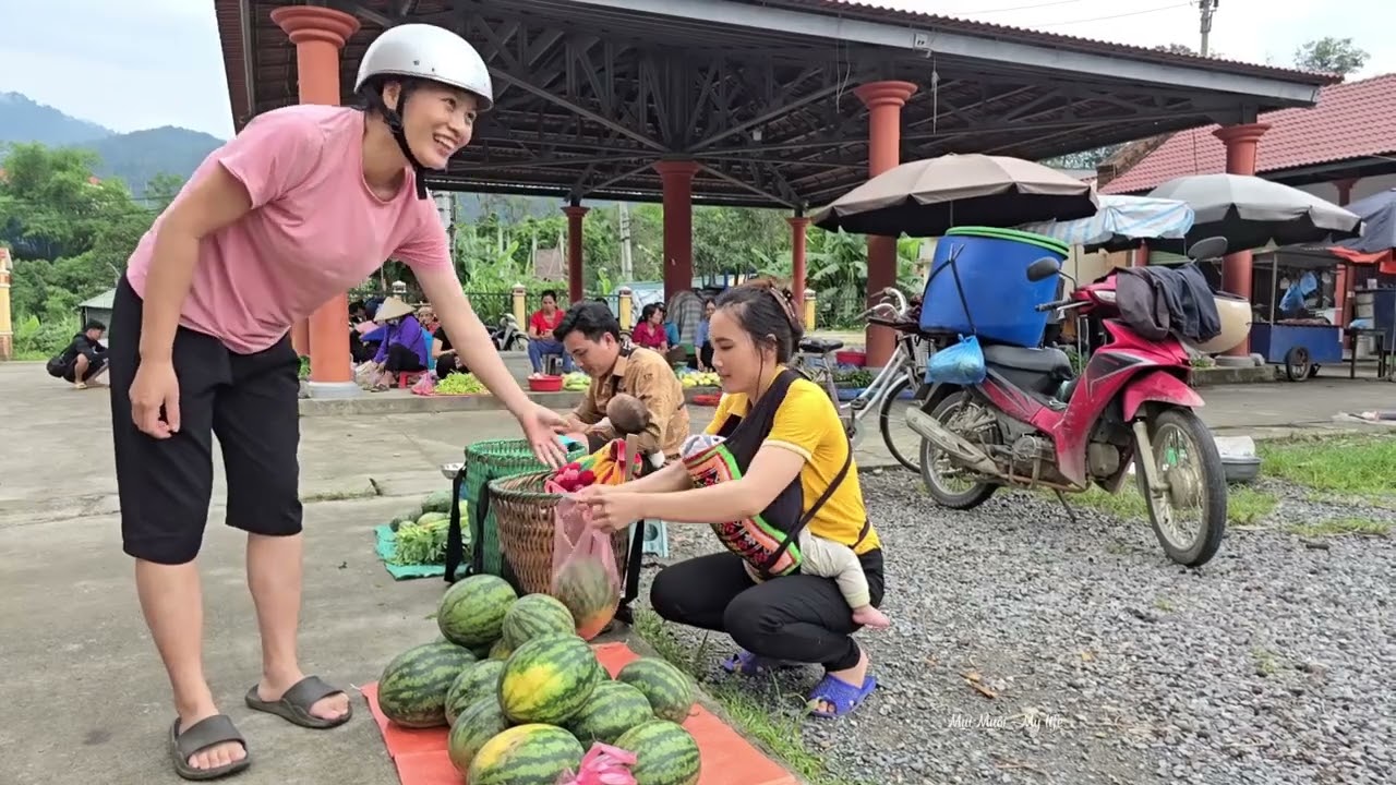 Harvesting watermelons to sell   Cooking   The husband came to ask for forgiveness