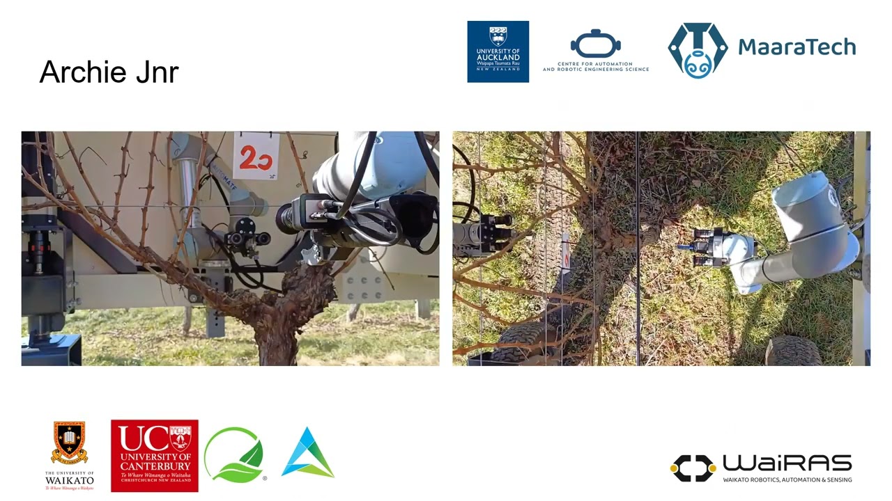 MaaraTech - Robot Grapevine Pruning