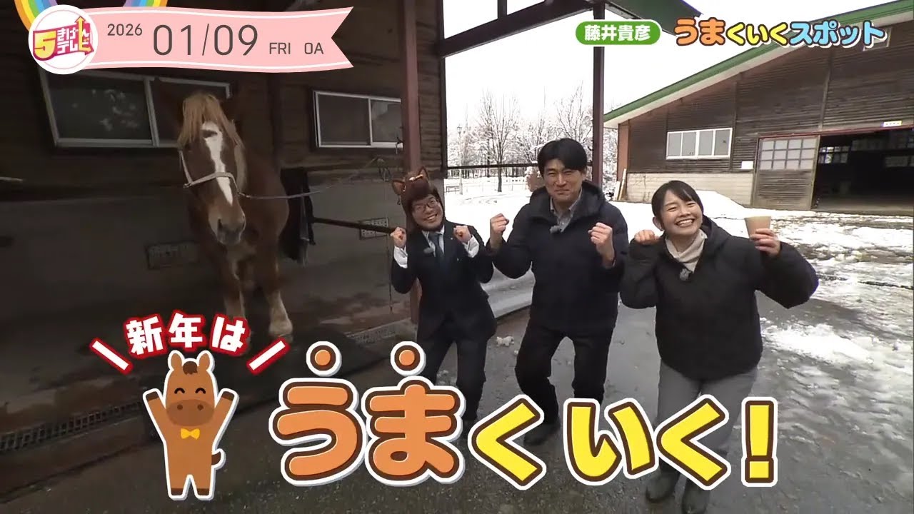 藤井貴彦&きぬ うまくいく！| 馬っこパーク・いわて