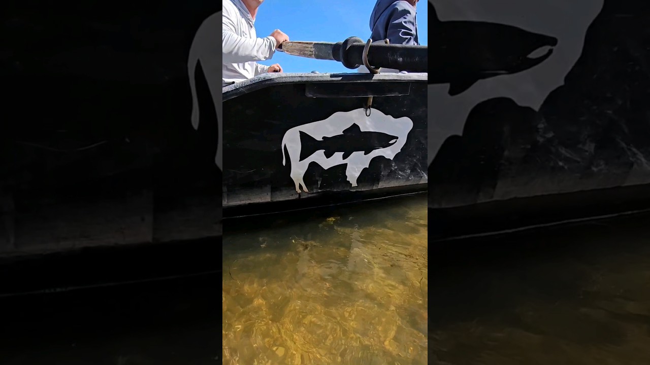 fishing wyoming style #fyp #wyoming #nature #1 #respect #flyfishing #fishing #hike #lifeisgood #new