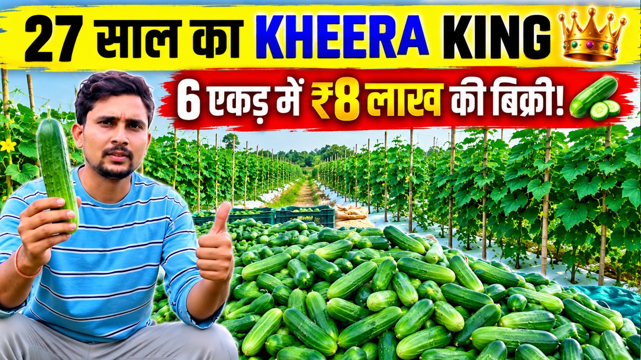 😱 ₹8 लाख का खीरा? | 27 साल का युवा किसान कैसे कर रहा है खीरे की खेती | नगरी, छत्तीसगढ़