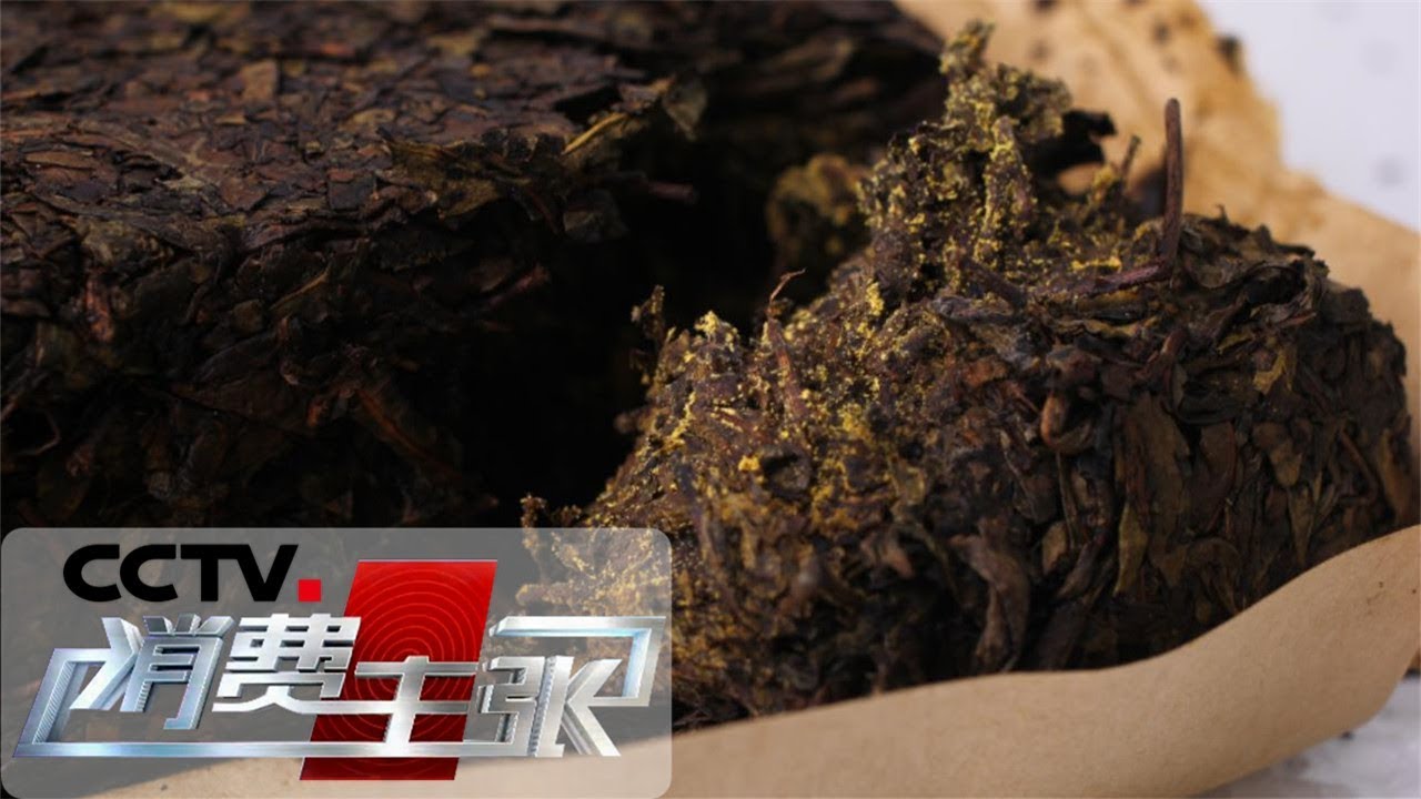 《消费主张》 春茶消费调查：黑茶应该怎么喝？20190422 | CCTV财经
