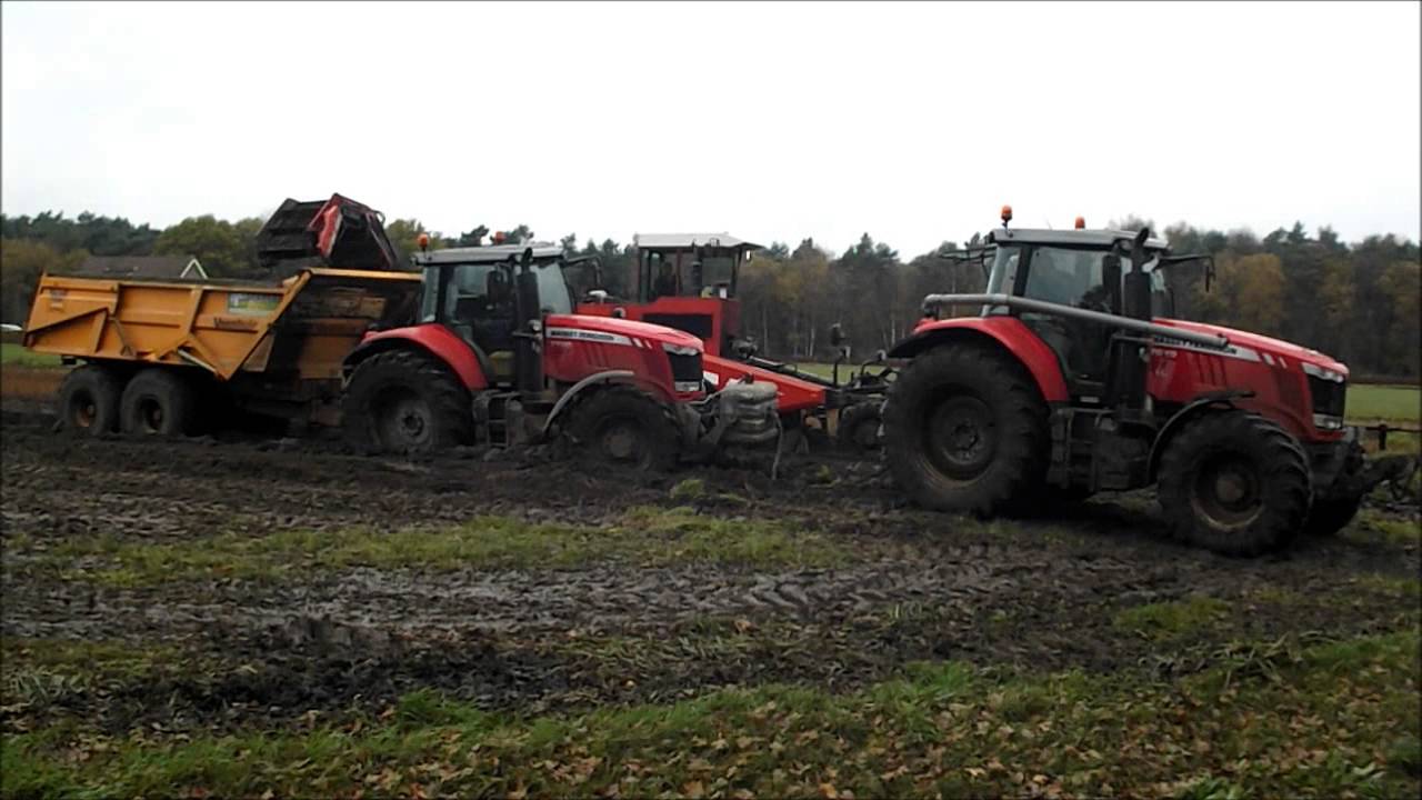 Harvesting lilies in the mud  Lelies rooien in de modder  Schrieken Lelies
