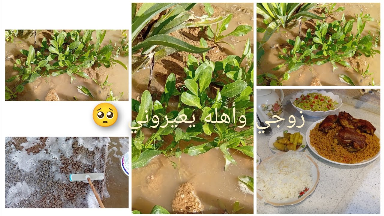روتين يومي غسل وجلف 🧽✨ طبخت برغل احمر ودجاج 😋