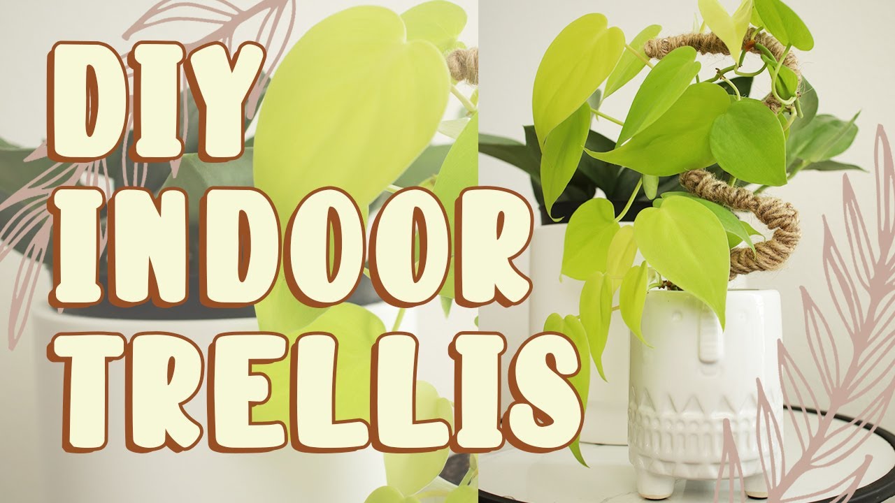 HOW TO: Make a DIY Trellis for Your Houseplants