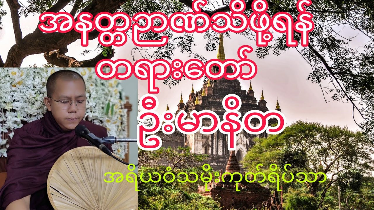 အနတ္တဉာဏ်သိဖို့ရန် တရားတော် ဦးမာနိတ အရိယဝံသမိုးကုတ်ရိပ်သာ စဥ်ကိုင်မြို့ ထန်းသုံးပင်ရွာ