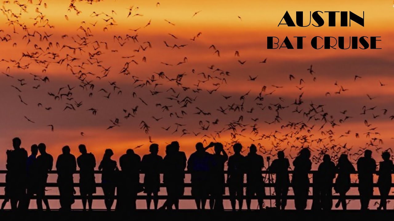 1.5 millions Bat exit the Congress Avenue Bridge in Austin | Sunset Boat Ride | Shamiru's World