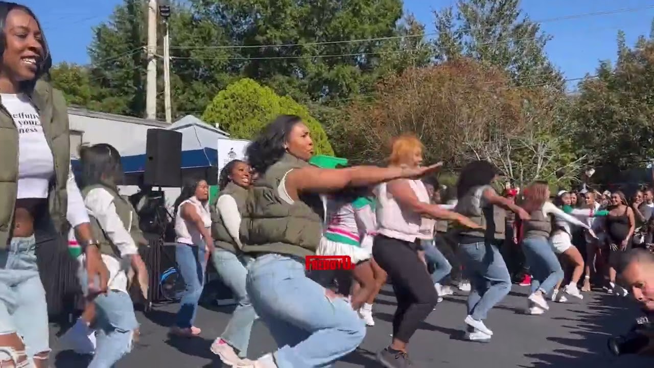Clark Atlanta University homecoming,, aka’s  sweet  Alpha pi chapter￼