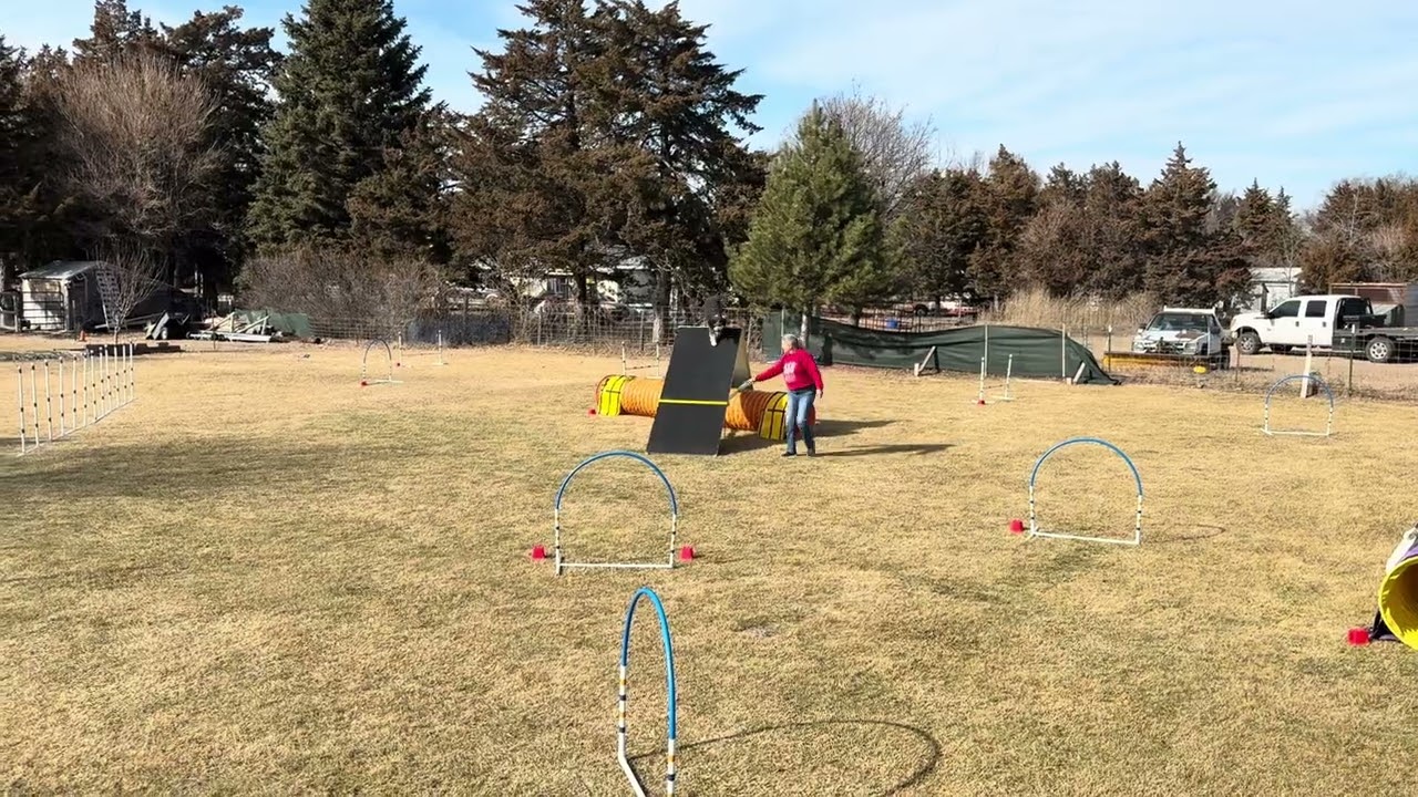 Millie, Nebraska Spirit, NADAC Winter Team Challenge Rd3