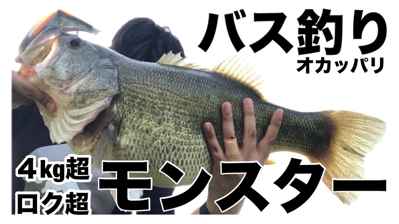 【ロクマル 4.3kg C2C】　クラッシュ9で琵琶湖モンスター​⁠（KLASH9 Hi クランキング）　春　4月　ビッグベイトでプリバス