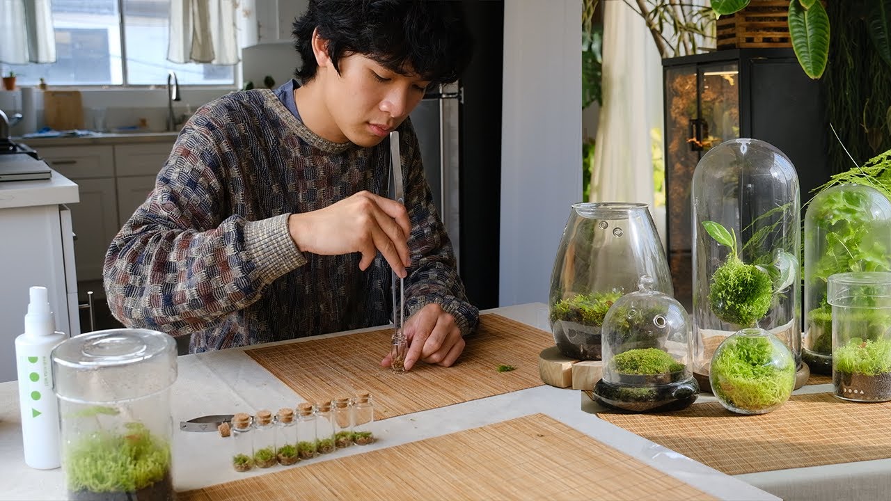 Plant Diaries | my first commission, moss terrariums, plant swap