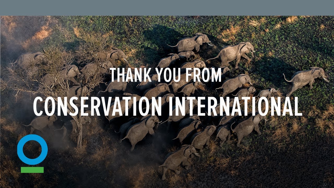 Thank You from Conservation International