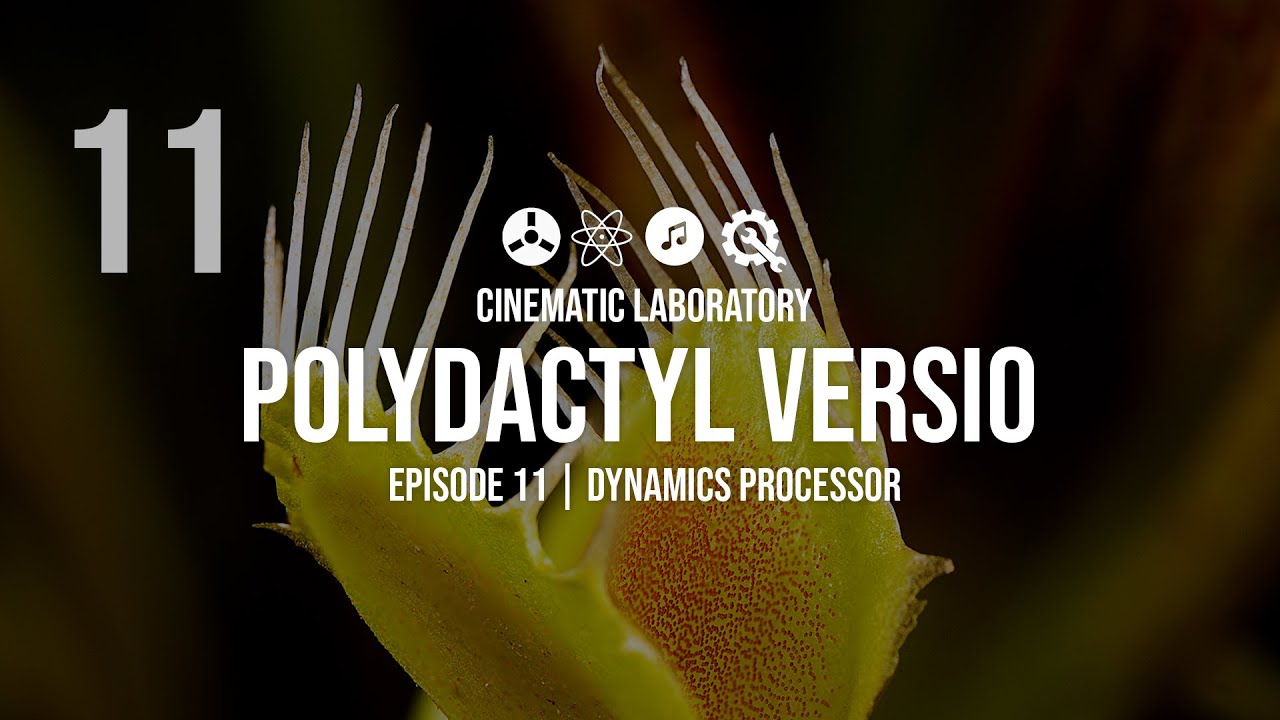 Polydactyl Versio | Platform Episode 11 | Dynamics Processing