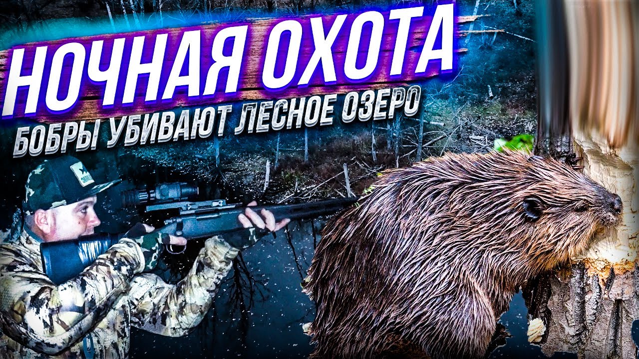 ОБЗОР И ОХОТА НА БОБРА / IRAY SAIM SCT35 V2