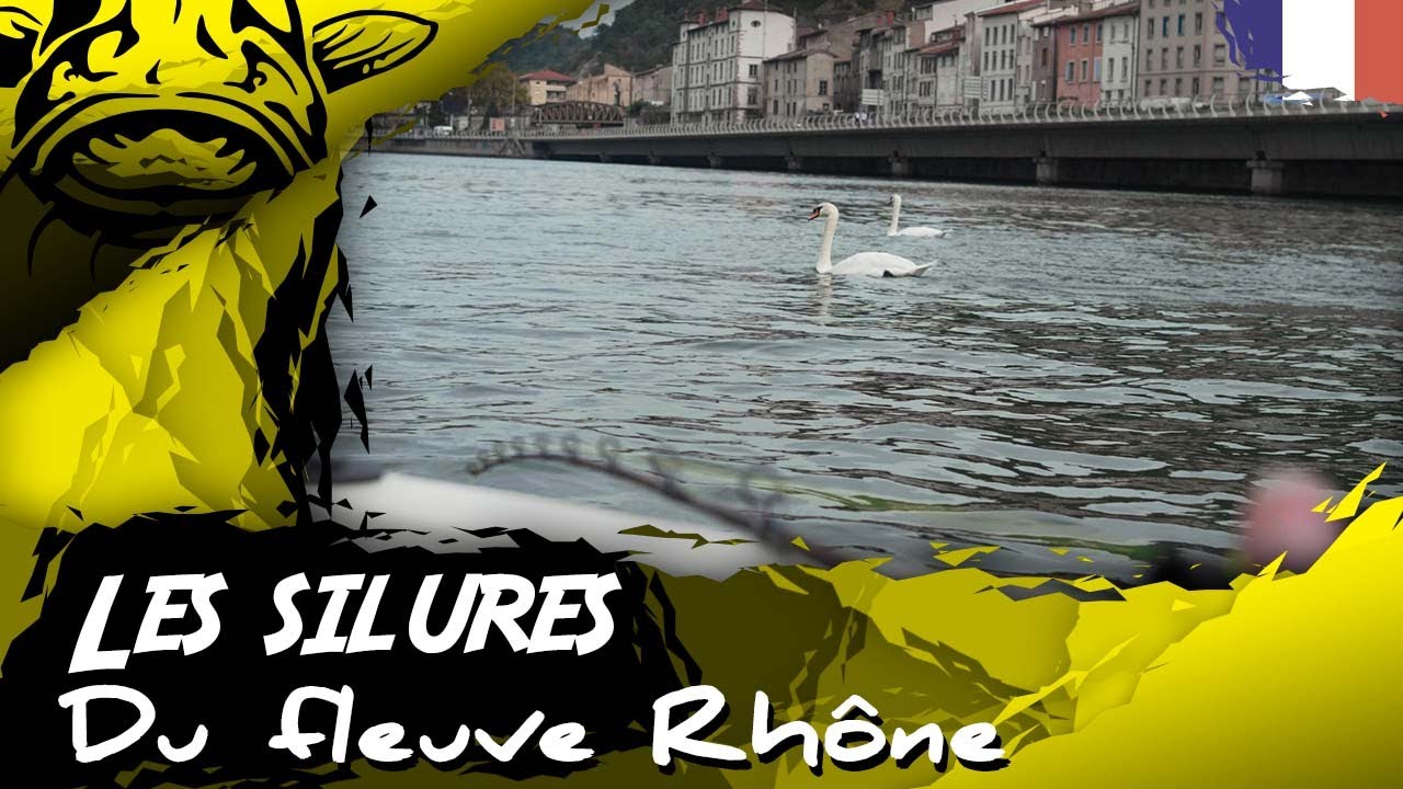 🔥Une partie de pêche sur le grand Rhône 🎣