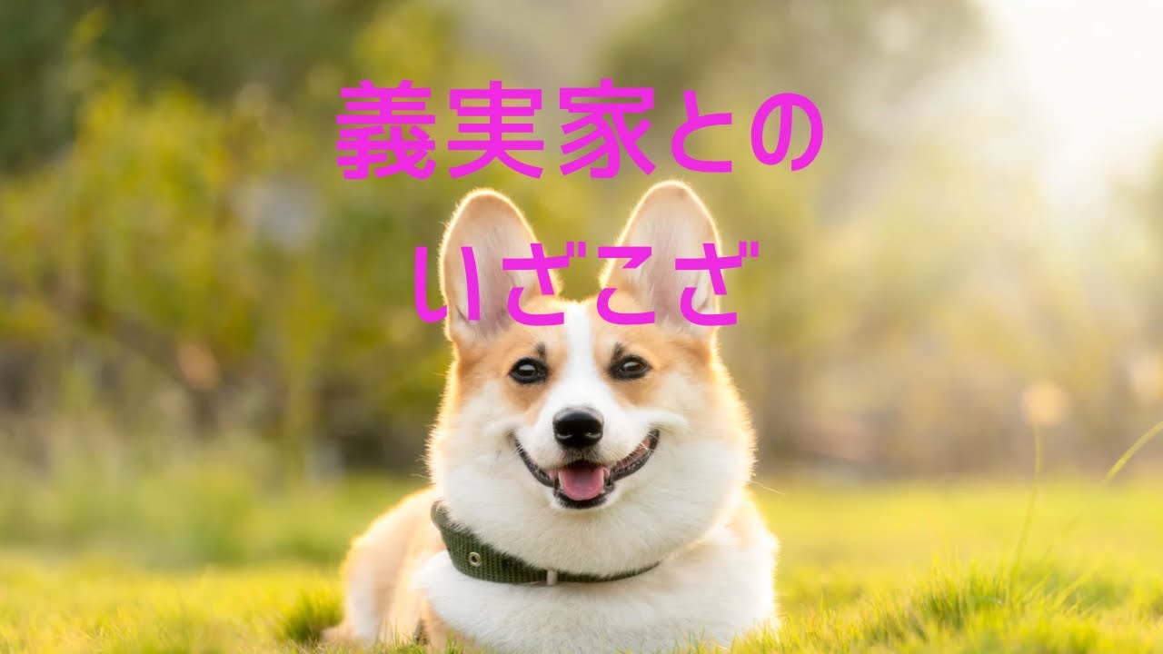 義実家とのいざこざ