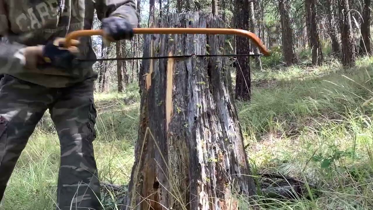 finding fat wood