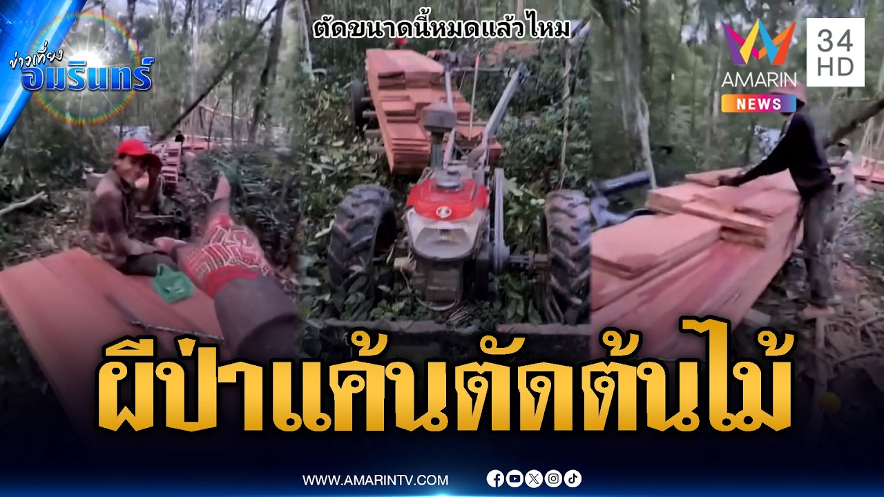 เจ้าป่าเจ้าเขาสาปแช่ง! ทหารเขมรตัดต้นไม้เรียบ | ข่าวเที่ยงอมรินทร์ | 11 มี.ค. 69