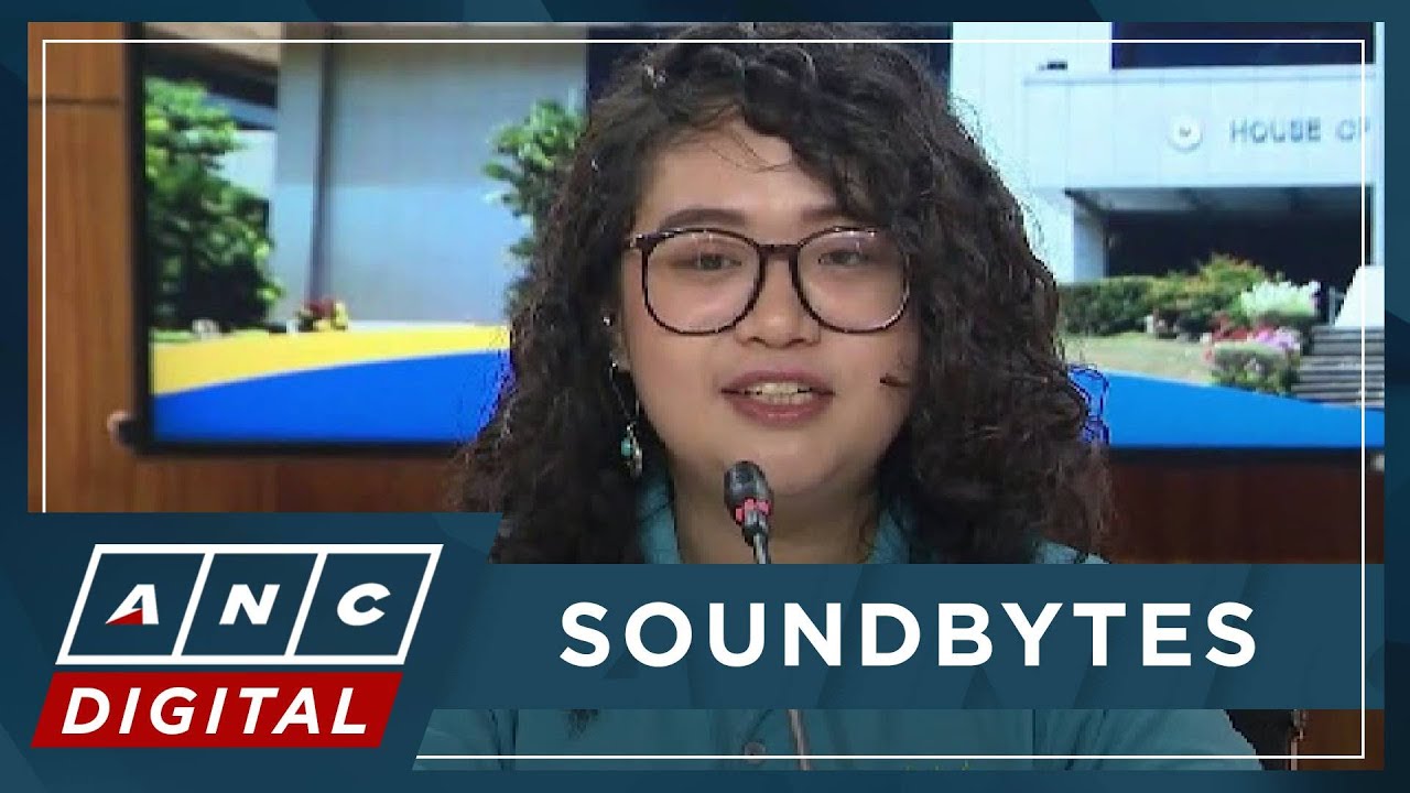 Renee Co hits parliamentary courtesy: President, VP should not escape budget scrutiny | ANC