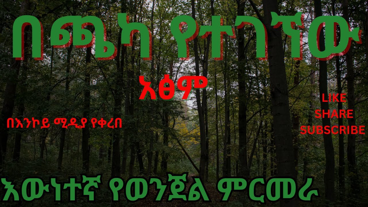 የህፃኑ አፅም_እውነተኛ የወንጀል ታሪክ