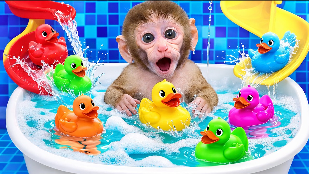 Monkey Baby cleverly finds a way to cross the bridge flooded by rising water!! | Mono Magic TV