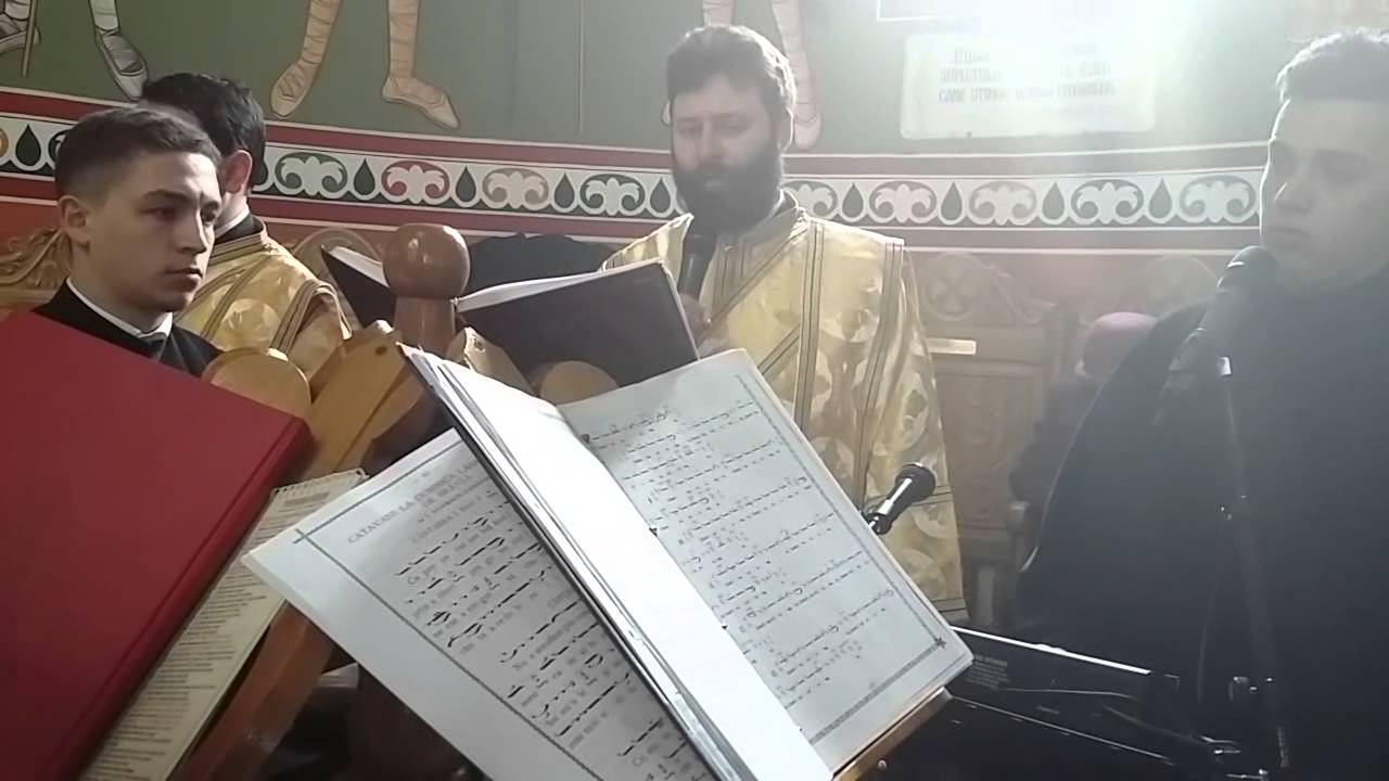 IPS Ciprian - Raspunsurile mari 22.02.2015