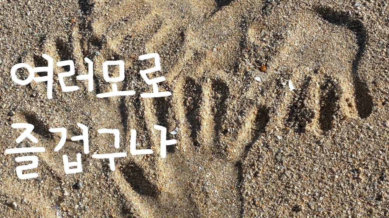 VLOG | 바다캠핑 내생일 둘째고양이 등장