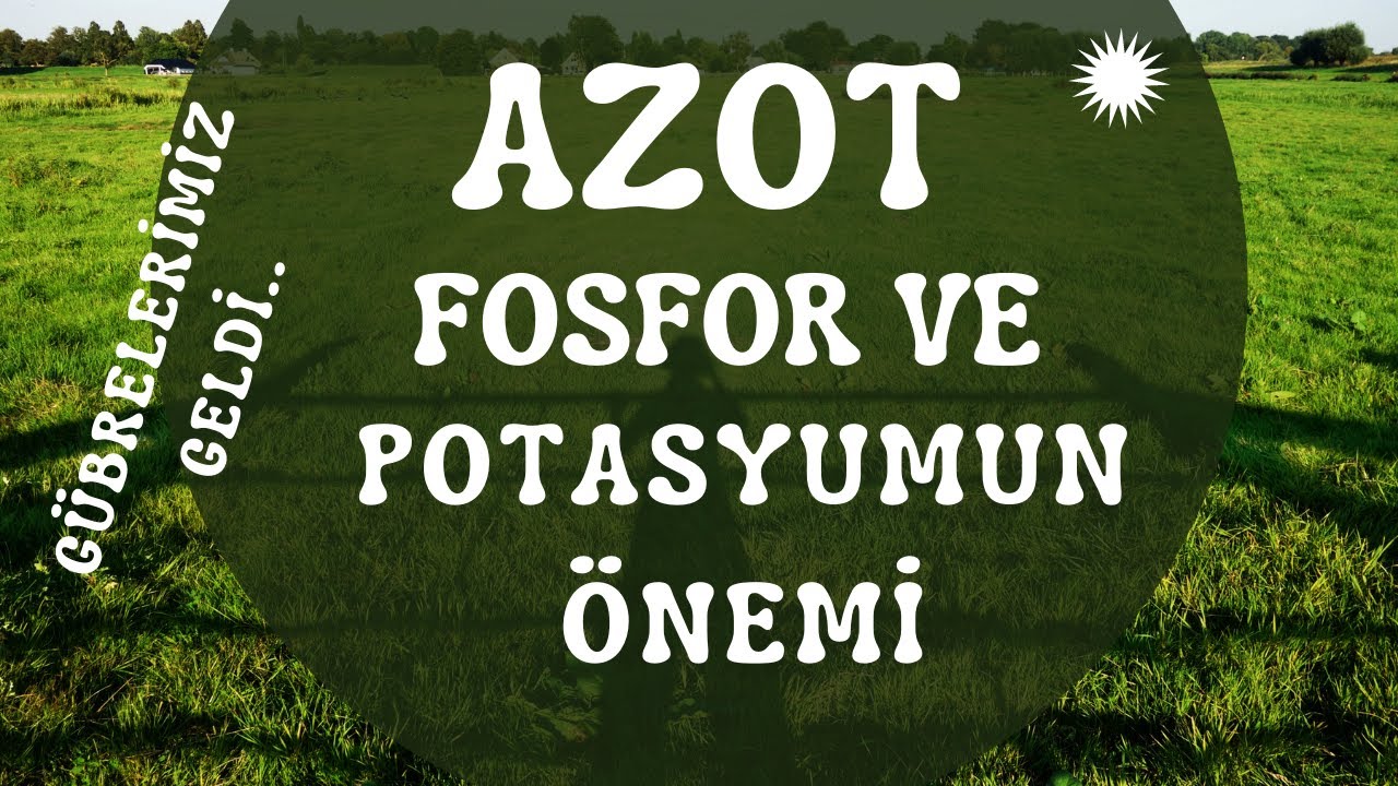Azot, Fosfor ve potasyum g&uuml;brelerin &ouml;nemi!!#azot #fosfor #potasyum #npk