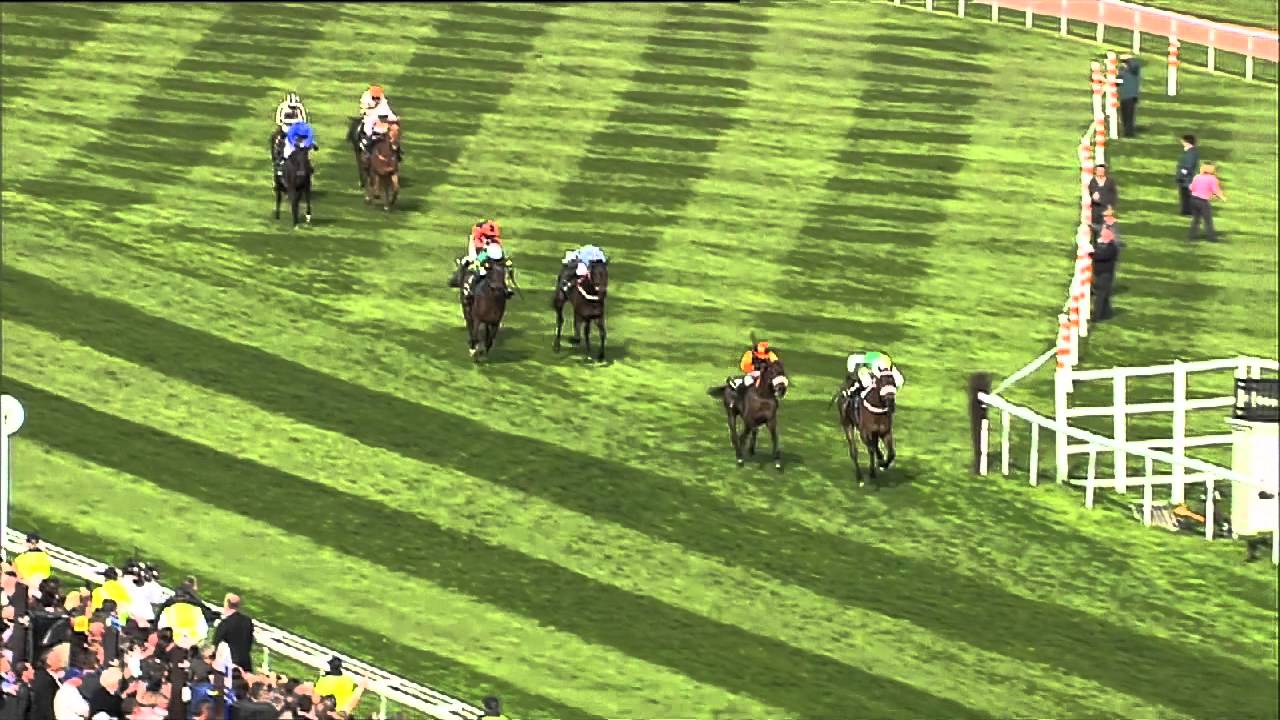 Grand National Winners - Racing TV