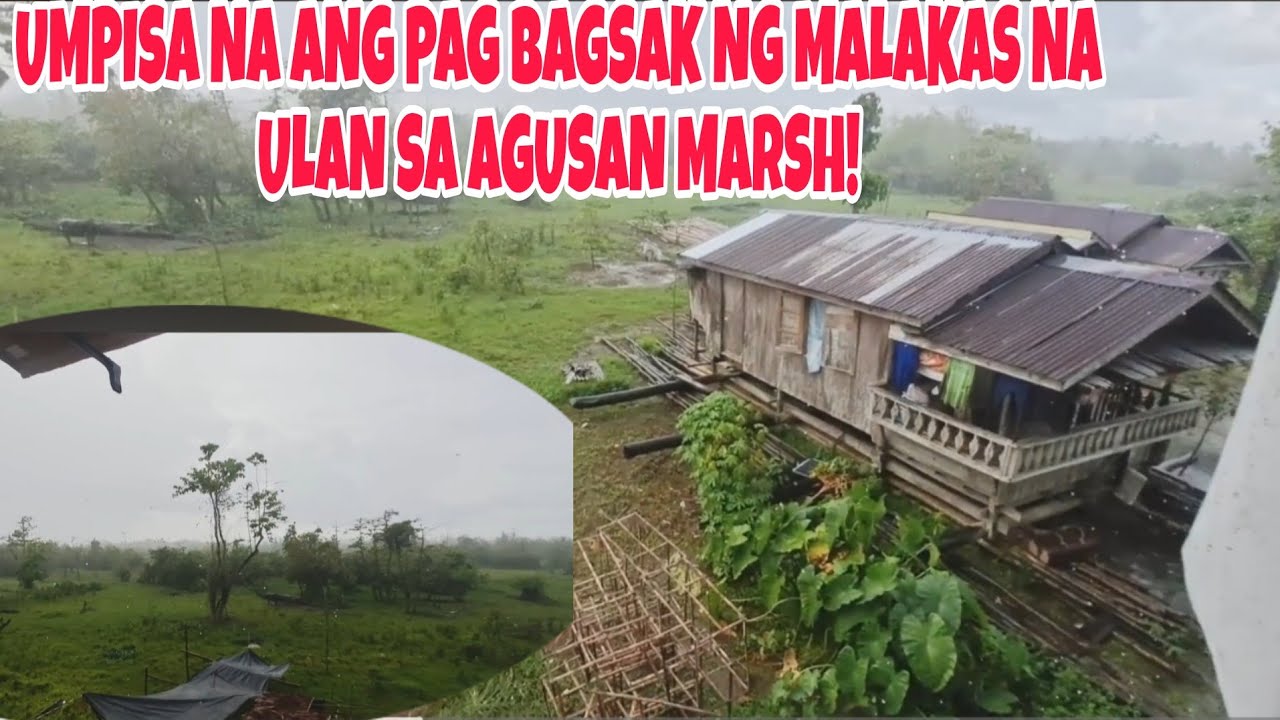UMPISA NA ANG PAG BAGSAK NG MALAKAS NA ULAN SA AGUSAN MARSH+KINABAHAN NA NAMAN KAMI SA PAG LAKI