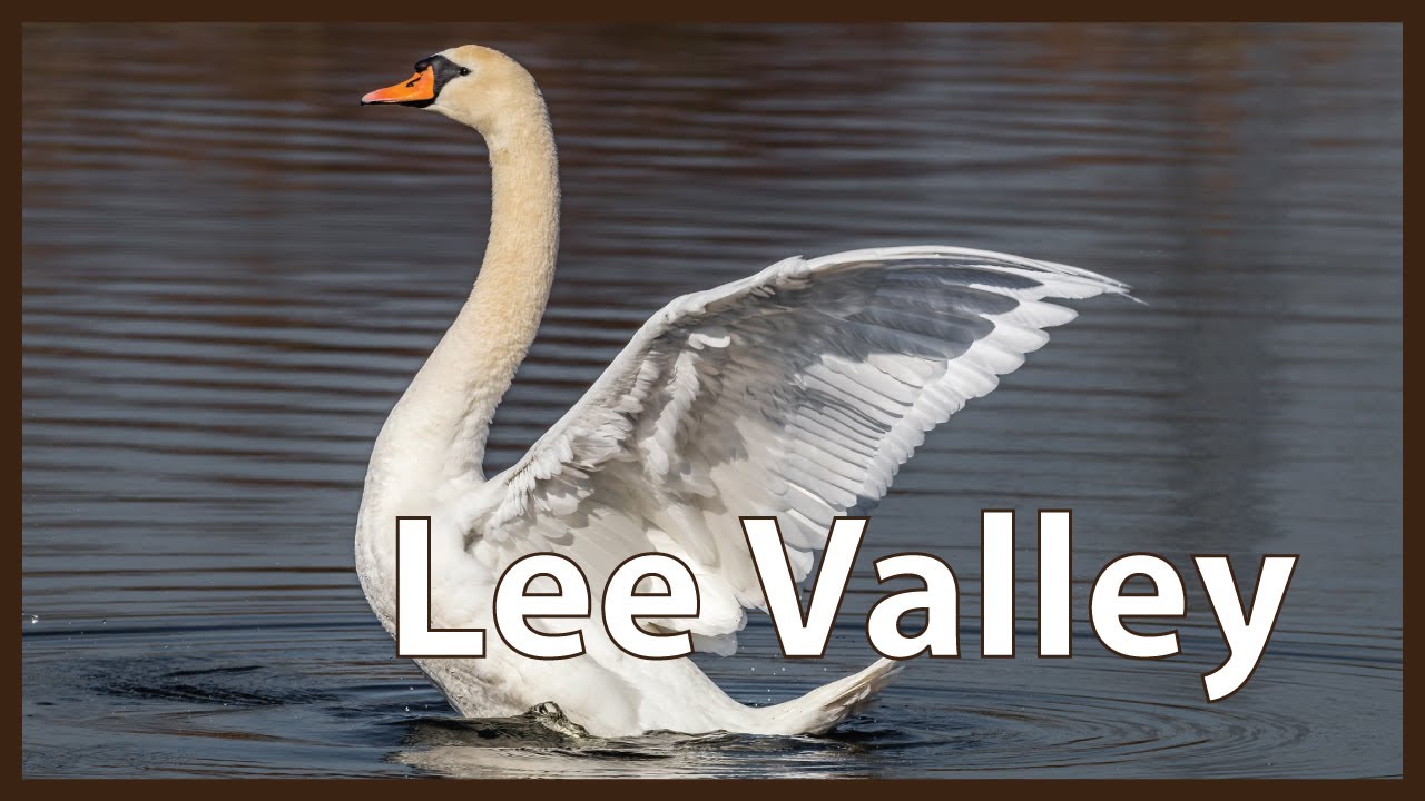 Exploring the Lea Valley Walk: A Scenic Journey in England | Hiking UK 🇬🇧