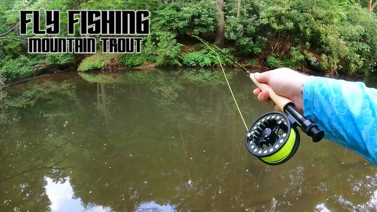 Fly Fishing a Heavily Pressured Creek for Stocked Trout! (Didn't go as planned..)