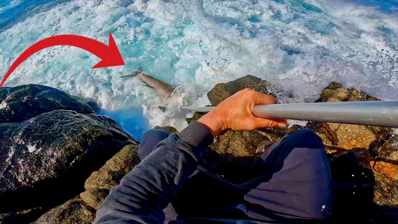 THAT DID NOT GO TO PLAN | The Worst Fish I Have Ever Landed