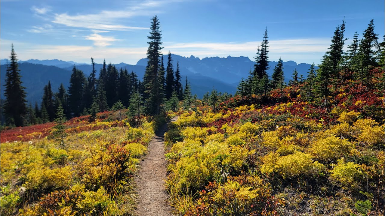 Fall mushroom foraging and hiking in Washington