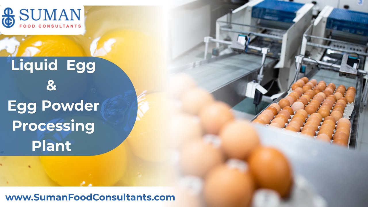 How Liquid Eggs Are Processed | Egg Processing Factory | Suman Food Consultants