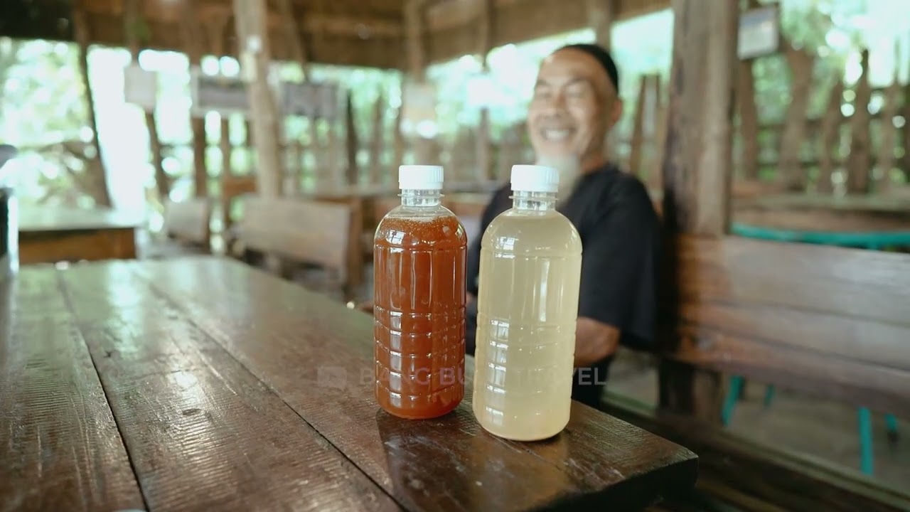 Bang Bule Belajar Tentang Produk Organik Di Turgo Yogyakarta Sama Pak Musimin