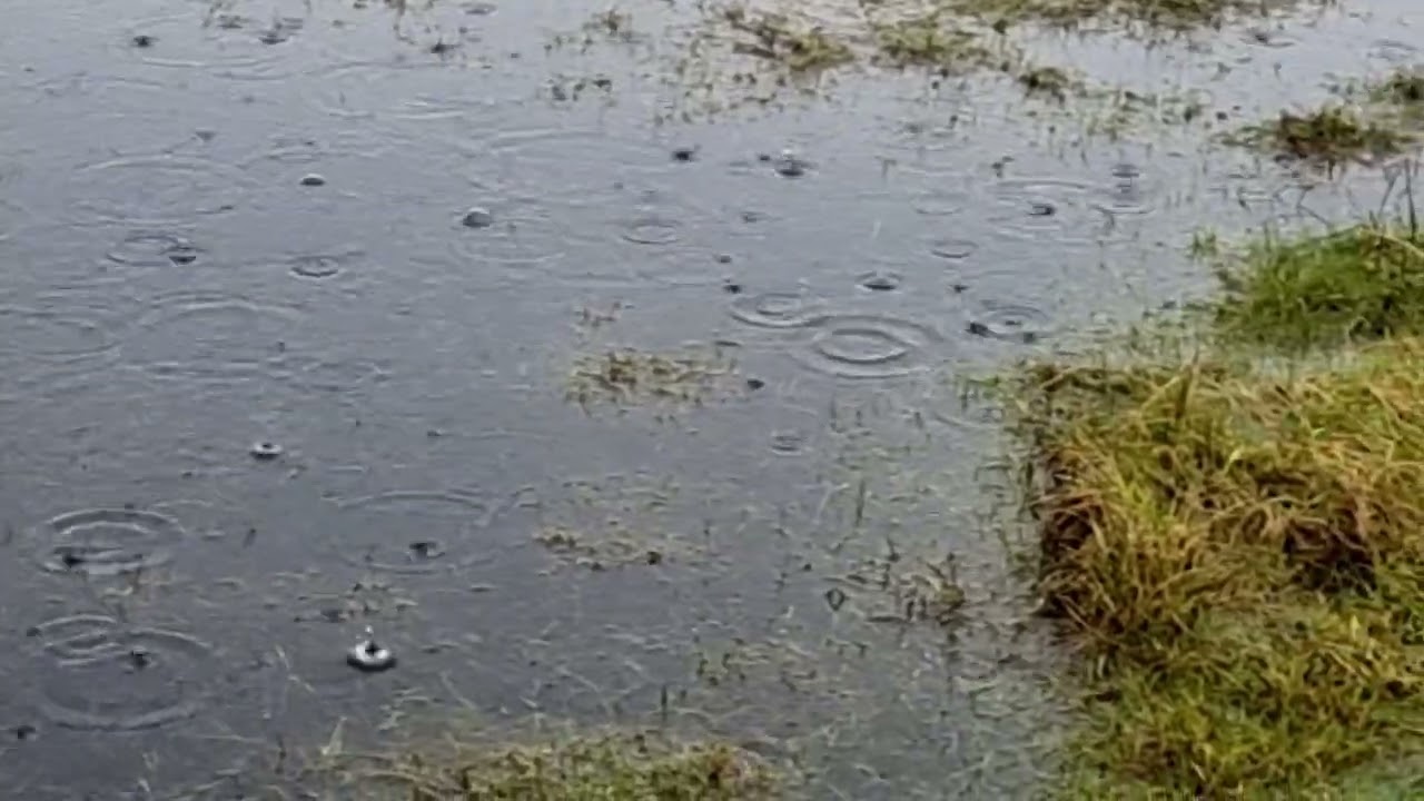 #rainyday #rain #raindrops 