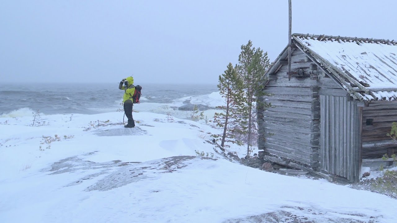 Attacked by Winter with the Cold Northern Gale