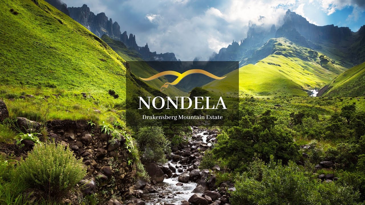 NONDELA PREVIEW