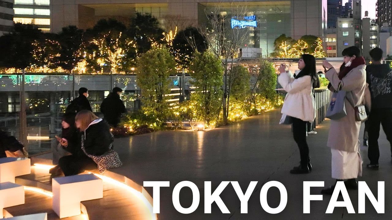東京都庁散歩 |【4K】 Evening Walking Tokyo Metropolitan Government Building Tokyo Japan (Jan. 2026)