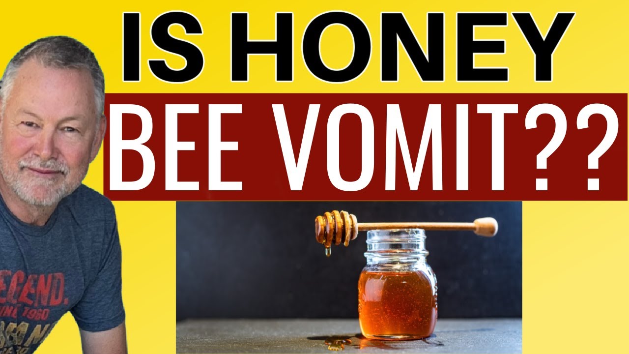 Beekeeping: Everything You've Been Told About Bees Is Wrong