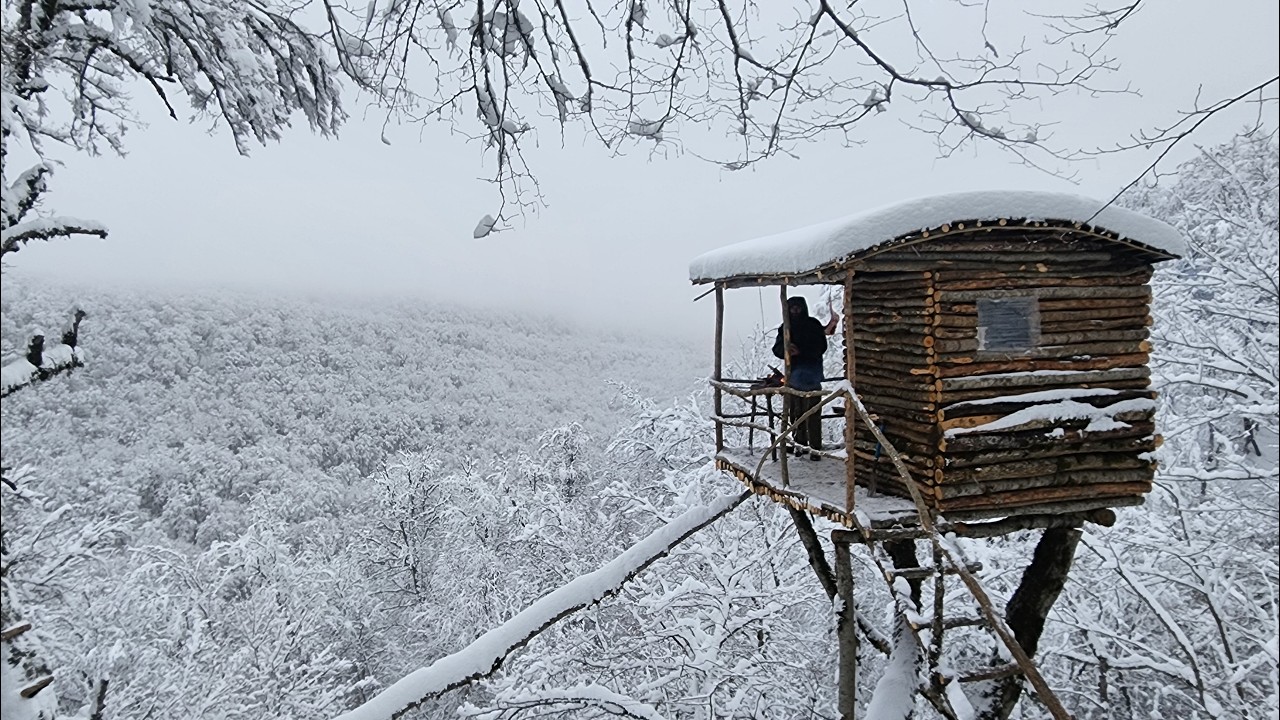 I built a warm and cozy building from forest materials in nature, in the bushcraft style!!!