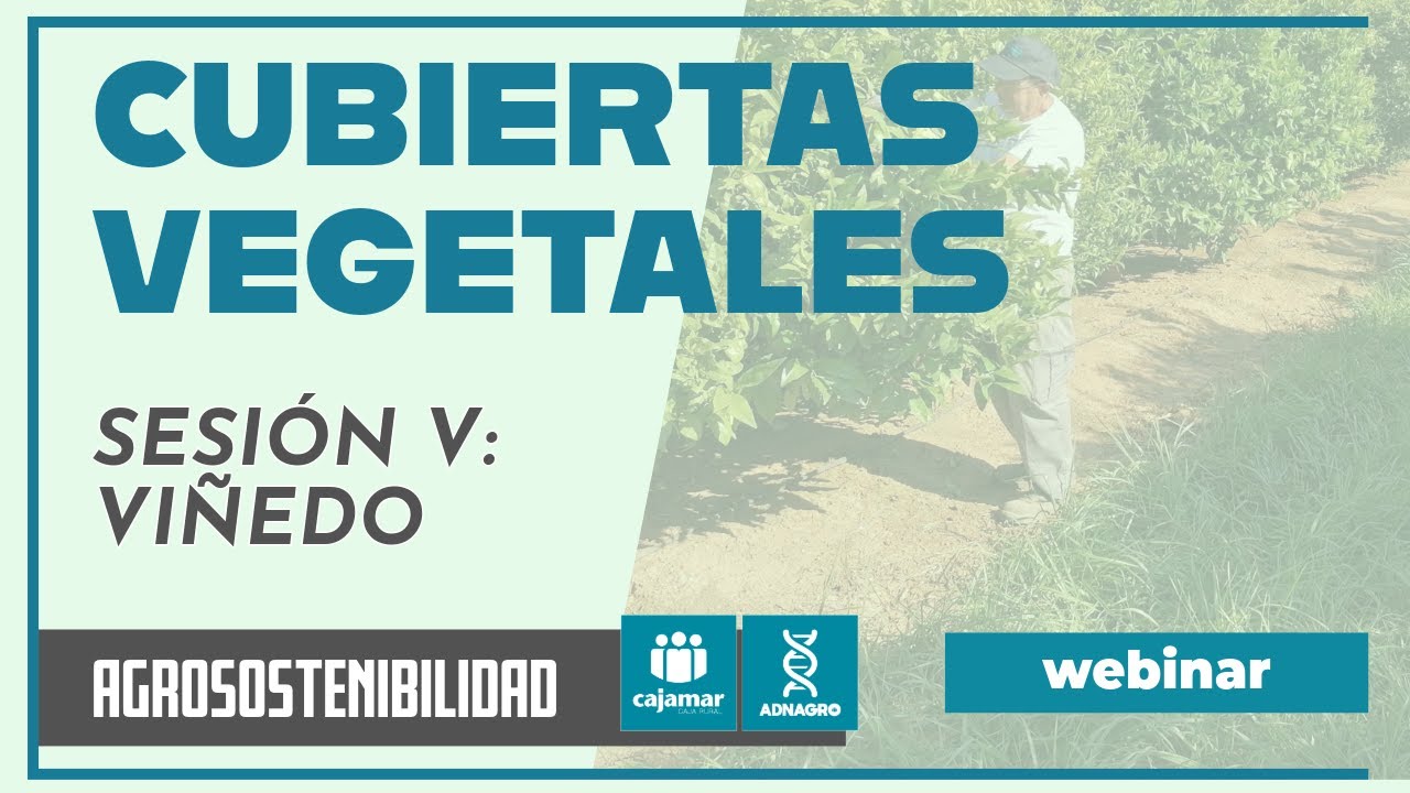 Cubiertas vegetales (V): viñedo