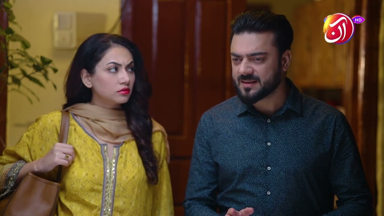 Aap Ke Toh Mazay Hein Jab Dil Kiya Shohar Ko Sath Liya Aur Chalay Gaye | Aan TV Dramas