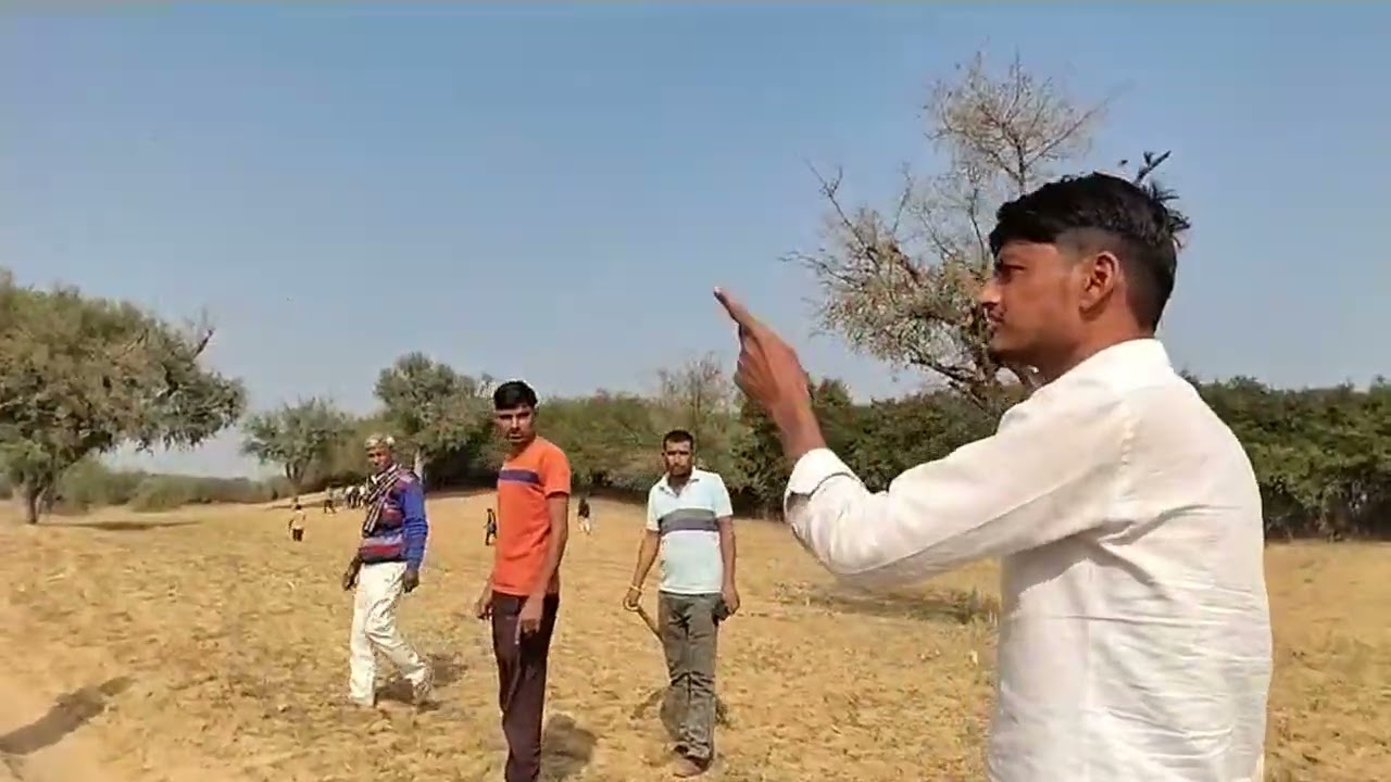 पैंथर पहुंचा रतनगढ़ तहसील के खेतों में