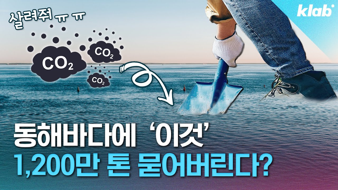 이과는 이산화탄소를 묻어~ 우리나라 탄소 중립 근황｜크랩